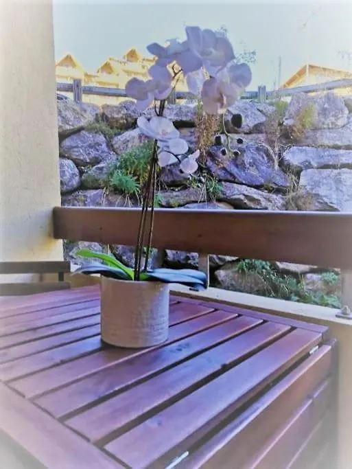 Appartement Tres Joli T2 Aux Pieds Des Pistes Avec Balcon à Orcières 0*,