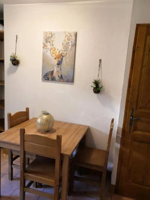 Appartement Tres Joli T2 Aux Pieds Des Pistes Avec Balcon à Orcières